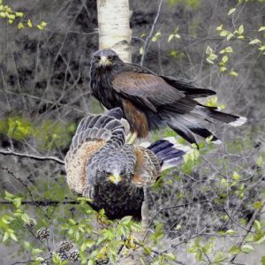 TeamWork Fine Art Print