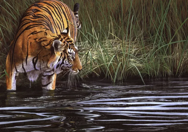 Breaking-Cover-Phillip-Allder