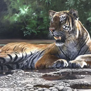 Paws to reflect print