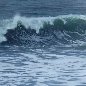 Wind Driven