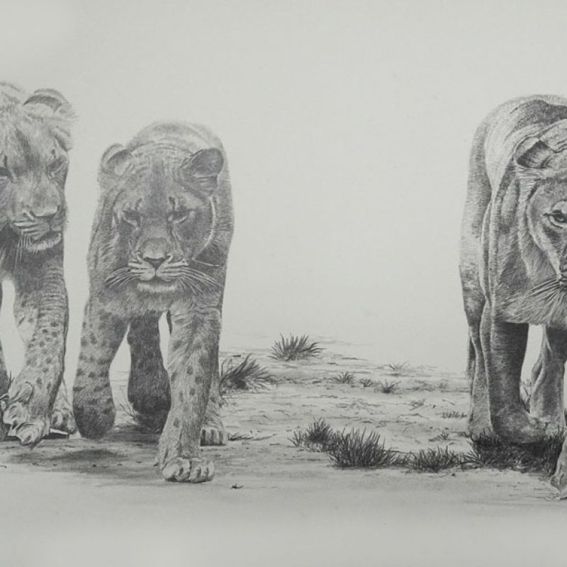 the boys are back in town